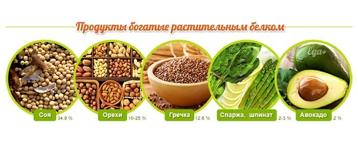 Продукты растительного происхождения богатые белком. Растительные продукты богатые белком. Растительный белок продукты. Белок в продуктах растительного происхождения.