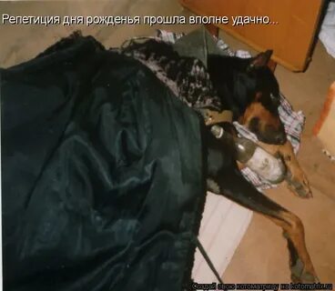 Работа не волк в лес