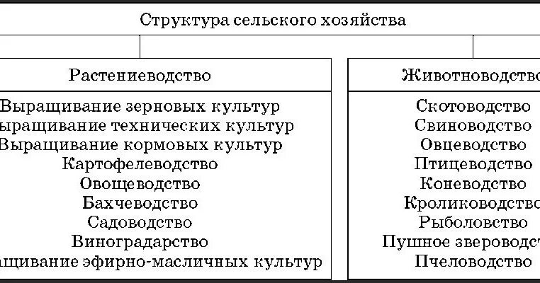 Подотрасли растениеводства и животноводства
