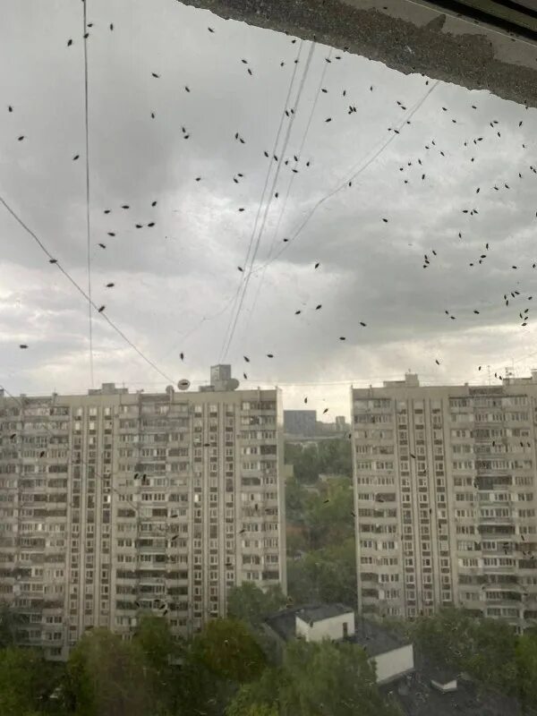 отрадное 1980 год. медведково отрадное. медведково отрадное. медведково отрадное. медведково отрадное.