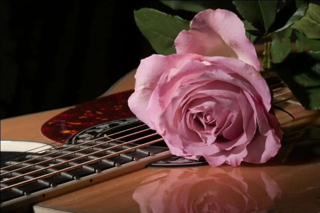 Гитара в цветах. Гитара и букет цветов. Красивая гитара с цветами.