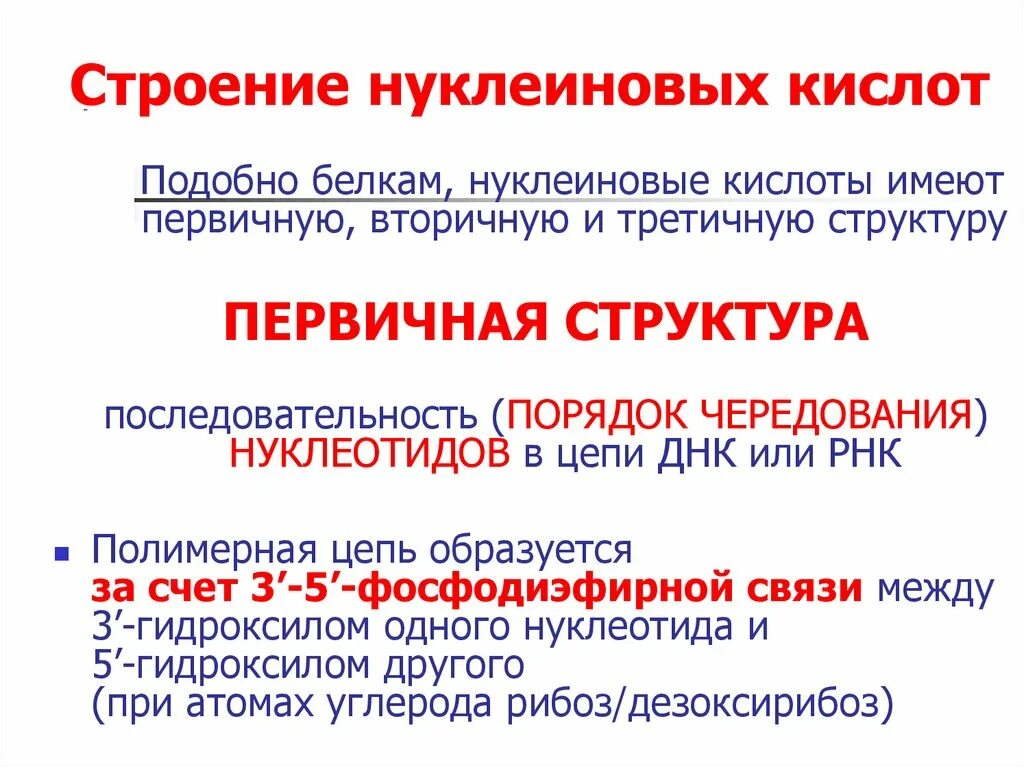 Строение и функции нуклеиновых. Структура нуклеиновых кислот. Структура и функции нуклеиновых кислот. Функции нуклеиновых кислот. Структура и функции нуклеиновых кислот биохимия.