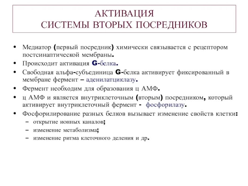 Система липидных вторых посредников. Активация системы. Альфа субъединица g белка. Активирует систему вторых посредников.