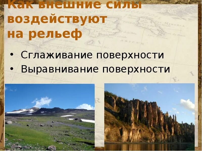 Формы рельефа созданные внешними процессами. Биогенный рельеф. внешние силы влияющие на рельеф. внешние силы изменяющие рельеф. биогенные формы рельефа.