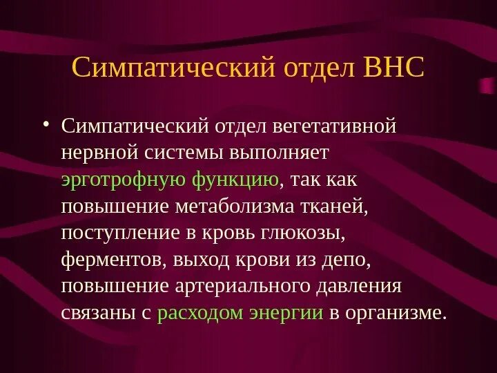 Симпатический отдел выполняет функции. Симпатический отдел ВНС. Симпатический отделэт. Симпатический отдел вегетативной нервной системы функции. Функции симпатического отдела нервной системы вегетативной системы.