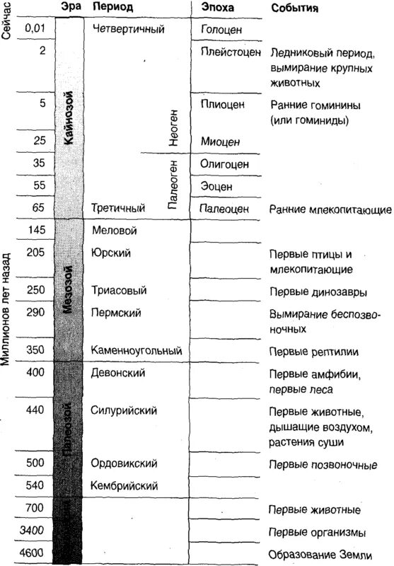 Геологическая история земли схема. Эры хронологической таблицы земли. Эры и периоды в истории развития земли. Геологическая Эволюция земли таблица.