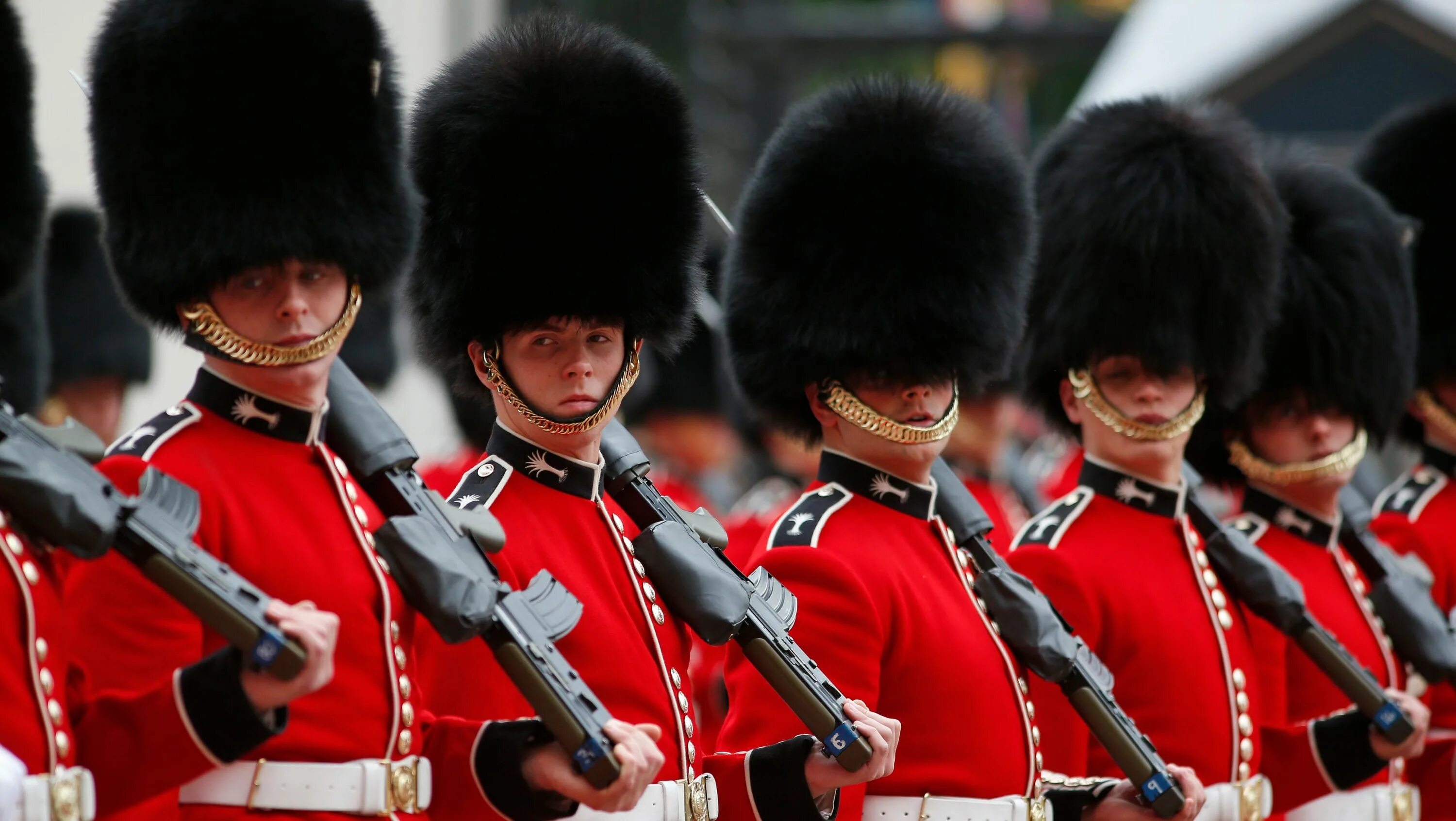 Гвард информ. Шотландская гвардия букингемский дворец. Гвард. Королевская гвардия британии. Gward rose.