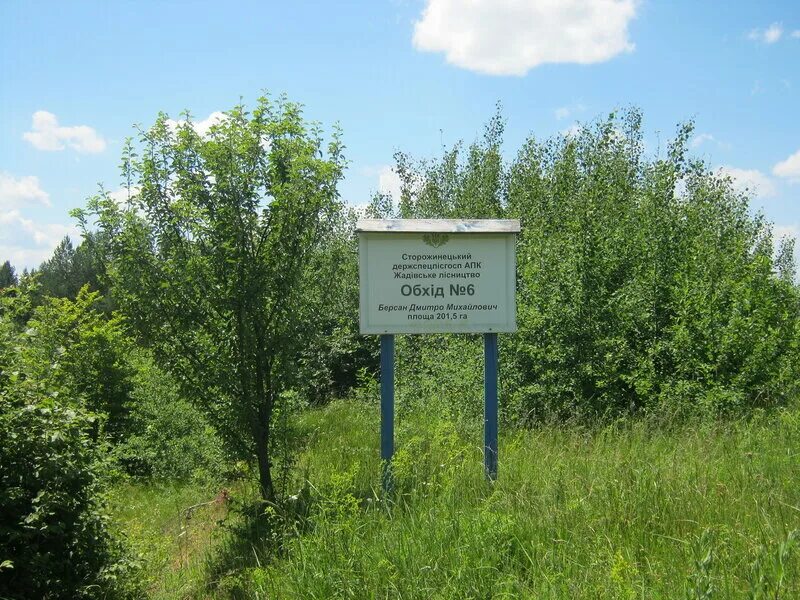 Лесничество приозерского района ленинградской области. Сурский район ульяновской области карта. Агалатово вывеска. Карта земель лесного фонда ленинградской области. Лесничество приозерского района ленинградской области.