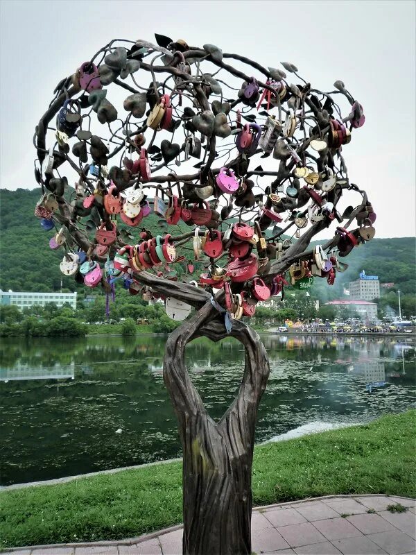 Аихризон суккулент. Дерево любви картинки. Дерево любви значение. Красивое зеленое дерево. Дерево из бисера ко дню влюбленных.