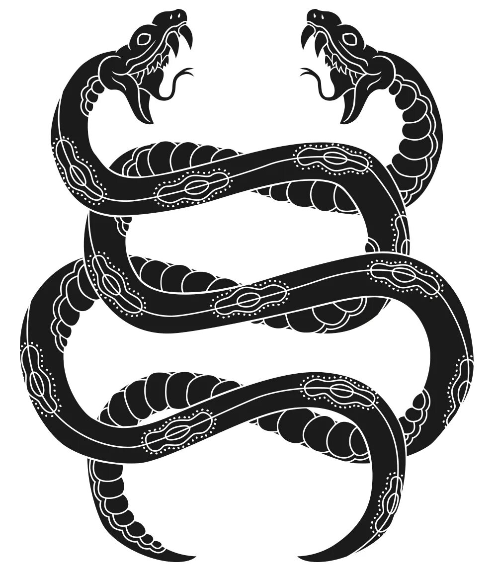 Змеиный орнамент. Модерн змеи. Орнамент змеи. Змея орнамент. Орнамент из змей.
