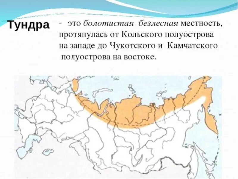 Зона тундры на карте России. Границы тундры и лесотундры на карте России. Тундра и лесотундра на карте природных зон. Географическое положение тундры в России карта.