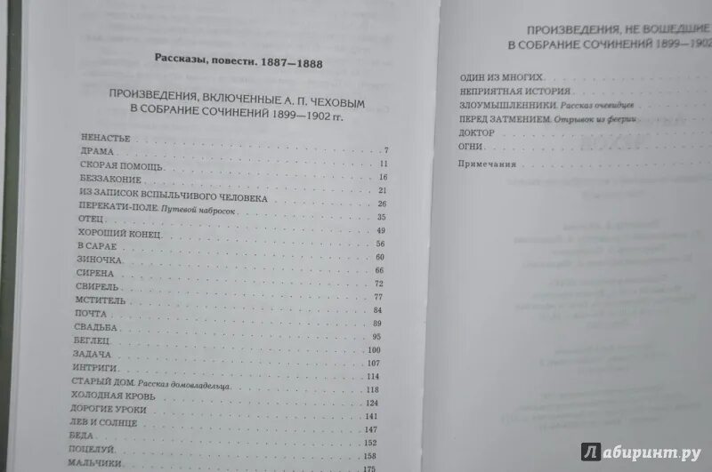 Что дает человеку воображение сочинение 13.3 чехов