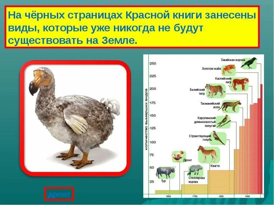 Почему черная страница. Красная книга России животных на черных страницах. Черные страницы красной книги России. Чёрные страницы красной книги животные и растения. Красная книга России черные страницы животные.