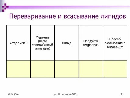 Ферменты участвующие в расщеплении жиров