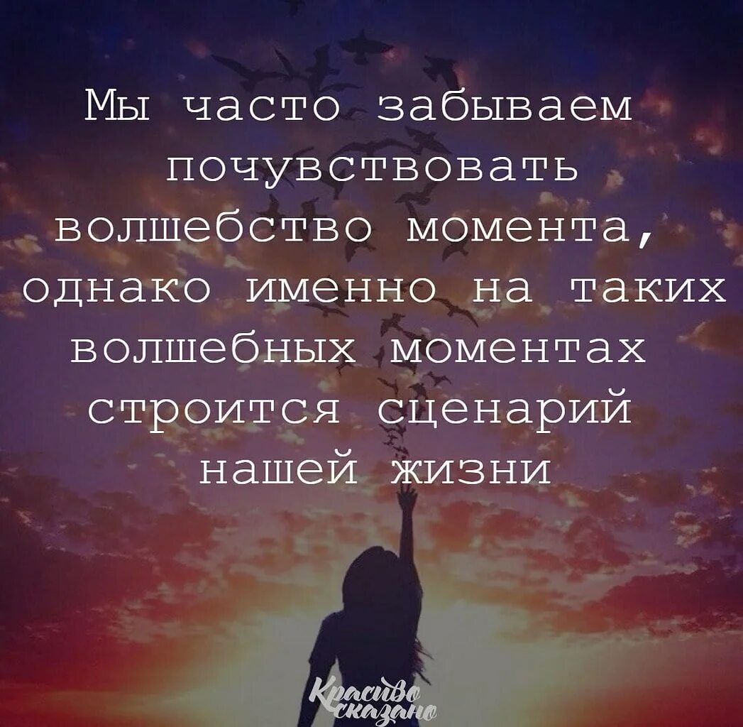 Время волшебства цитаты. Высказывания про волшебство. афоризмы про волшебство. фразы про волшебство. цитаты про моменты.