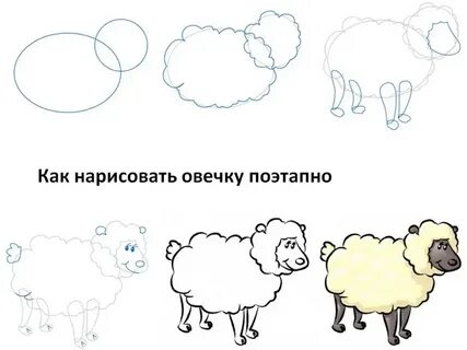 Барашков 5 класс
