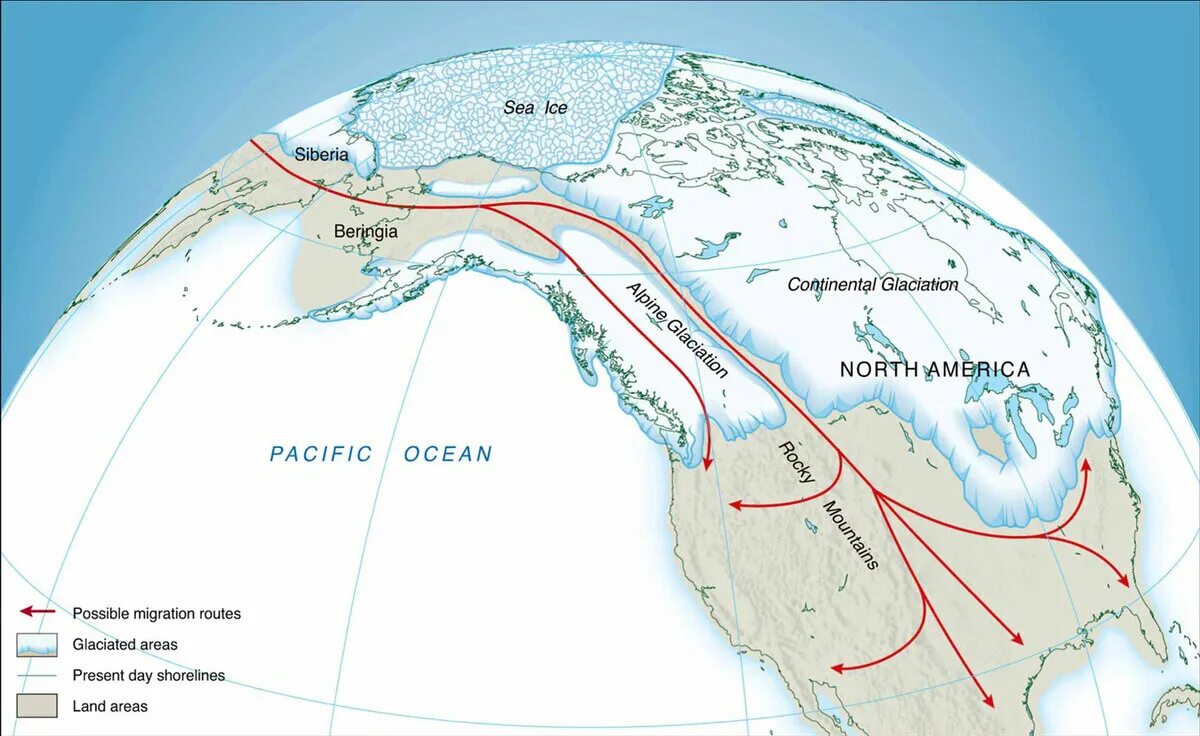 Миграция северной америки. Берингов перешеек на карте. Наркотрафик карта. Миграция населения северной америки. Миграция в сша.