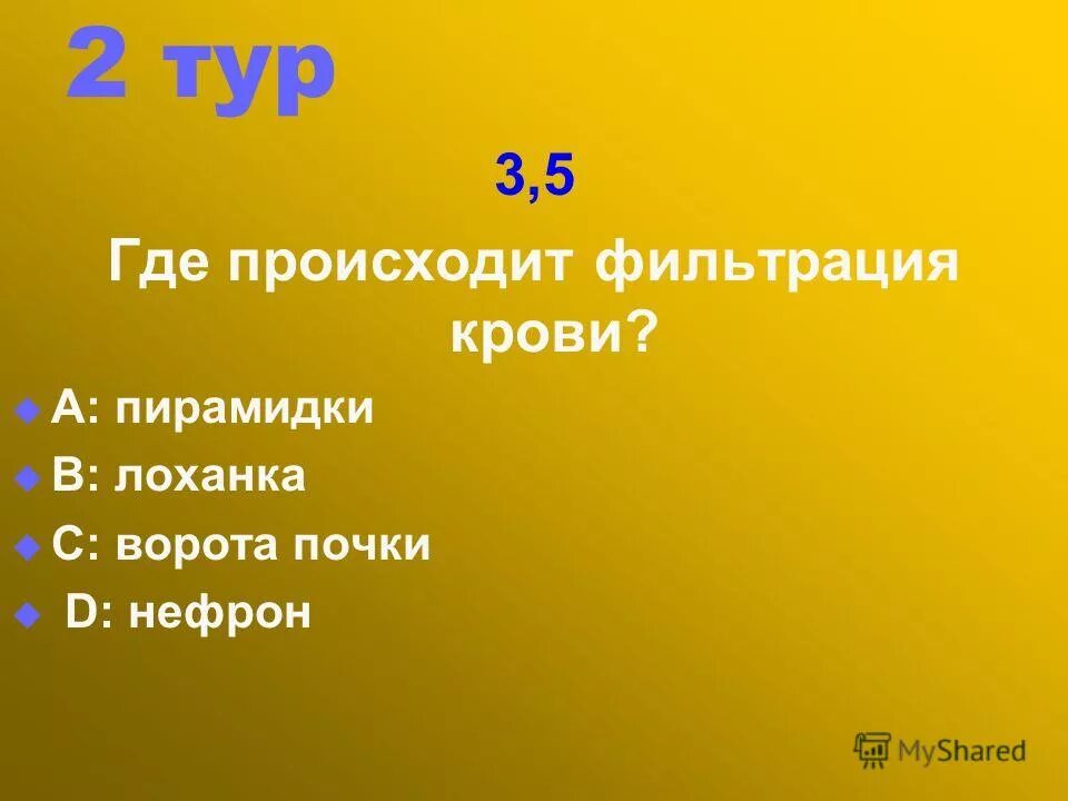 фильтрация крови в почках происходит в. процесс фильтрации в почках. фильтрация происходит в. процесс фильтрации крови в почках. реабсорбция воды в канальцах почек.