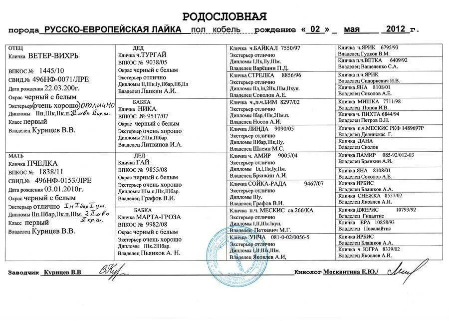 Найти родословную собаки