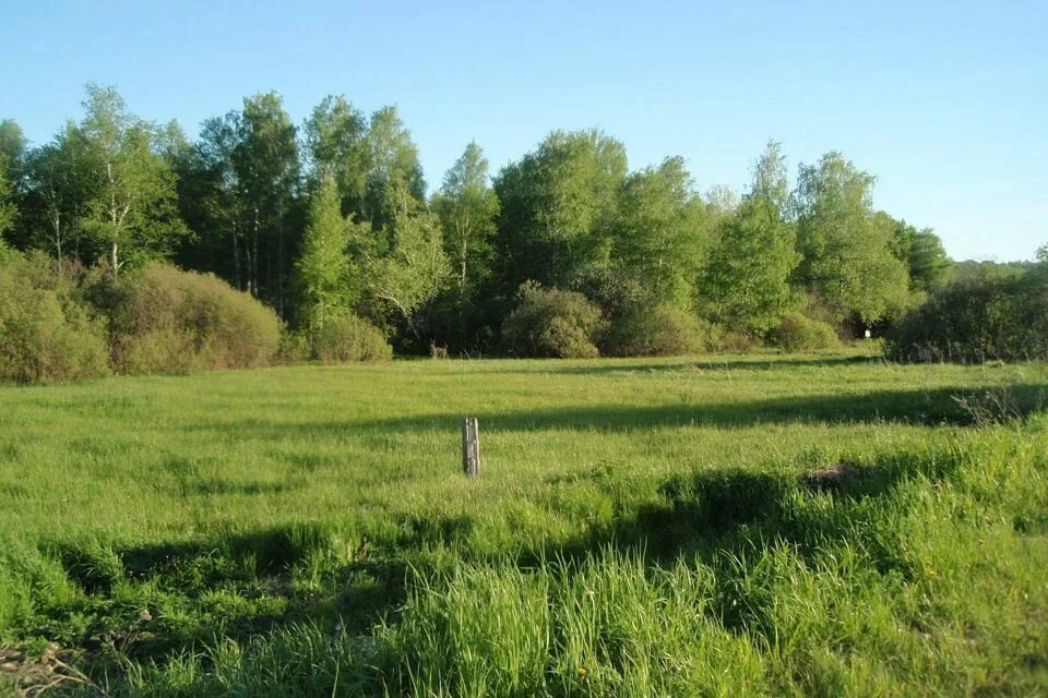 Участки русское поле тюмень. Тюменский участок. Село кулига тюмень. Деревня решетникова тюменская область. Снт медвежьи озера.