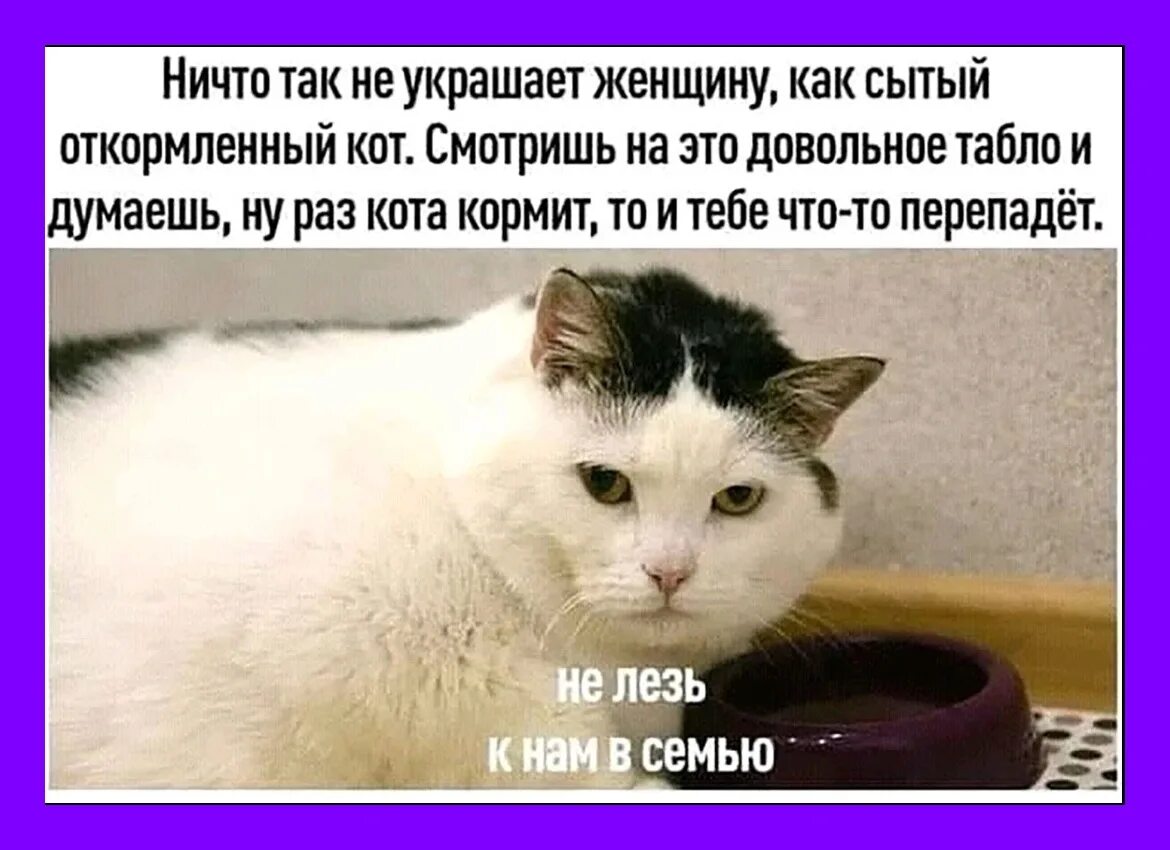 А то еще как доволен