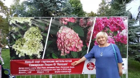 Питомник веры глуховой каталог на 2024 год