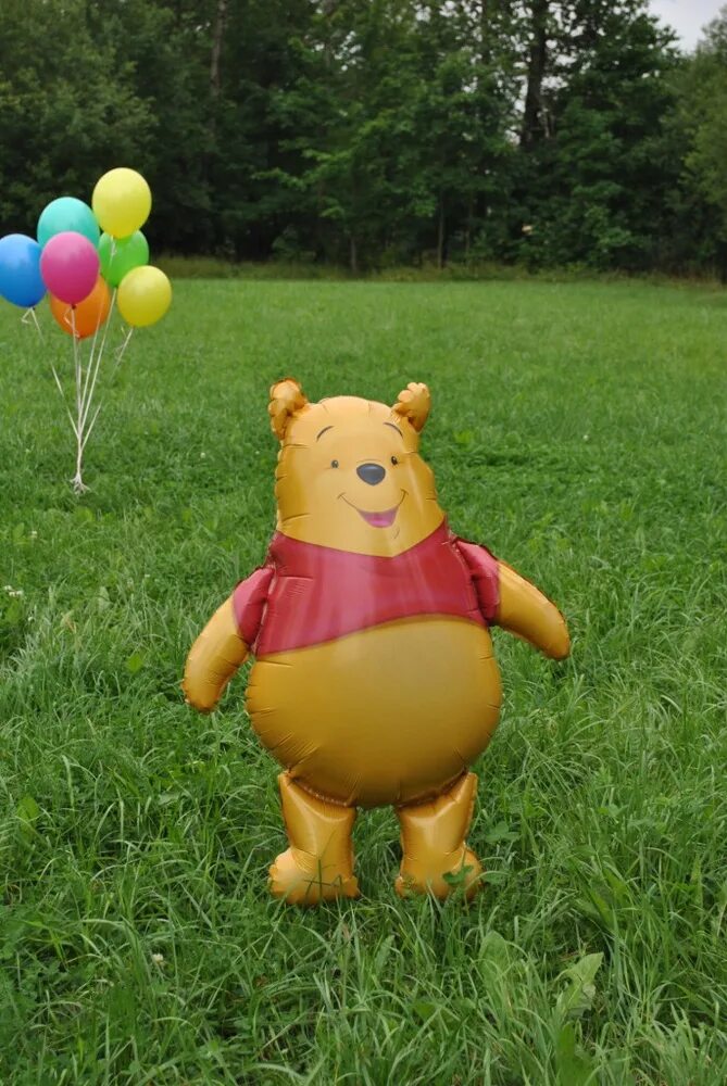 Воздушные шары винни пух. Воздушный шар«винни пух». винни пух и воздушный шарик. винни пух с шариком.