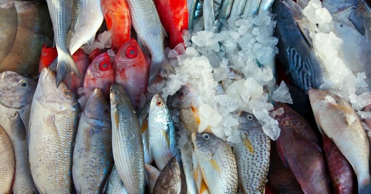Рыба на рынке. Какие рыбы продают в магазинах. Рыба в ассортименте. Выкладка рыбы в магазинах. Дешевая рыба в магазине.