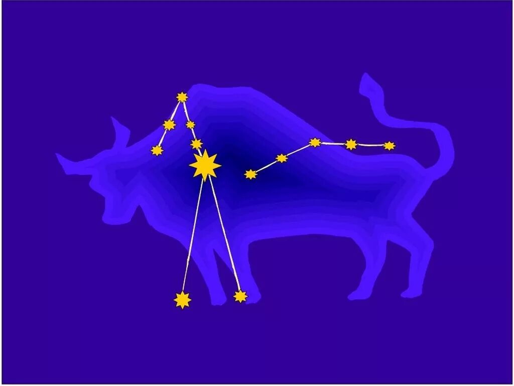 Как выглядит созвездие тельца. Альдебаран в созвездии тельца. Как выглядит созвездие тельца. Созвездие телец альдебаран. Таурус созвездия зодиакальные созвездия.