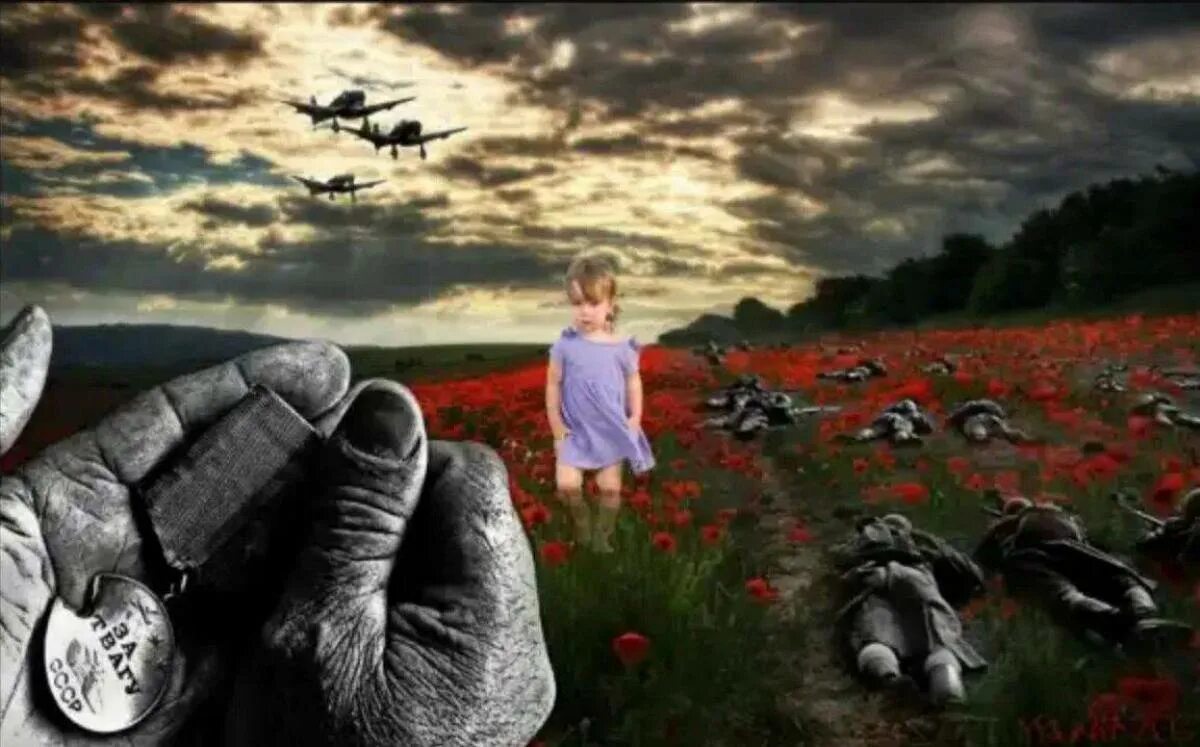 Нужно всем быть против войны. Мир без войны. Цветы на поле сражения.