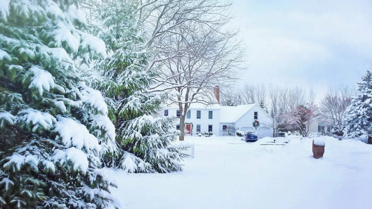 The snows 1