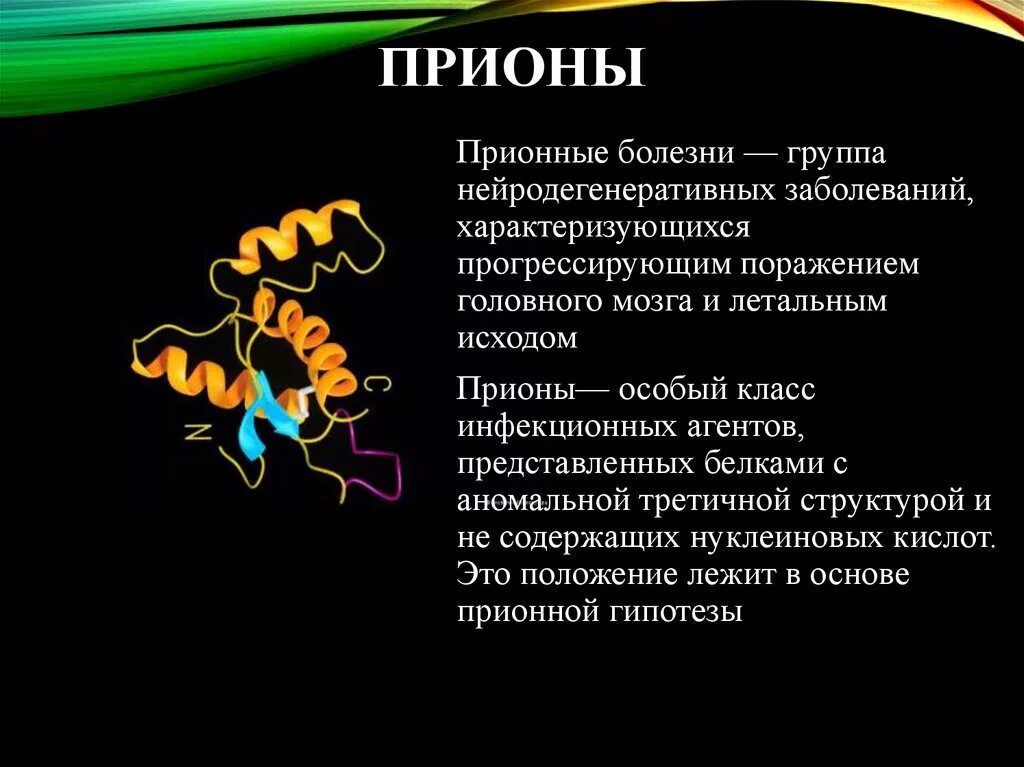 Белковая болезнь. Биологические функции нормальных прионных белков. Прионы возбудители болезней. Прионы строение микробиология. Прионы - инфекционные белковые частицы.