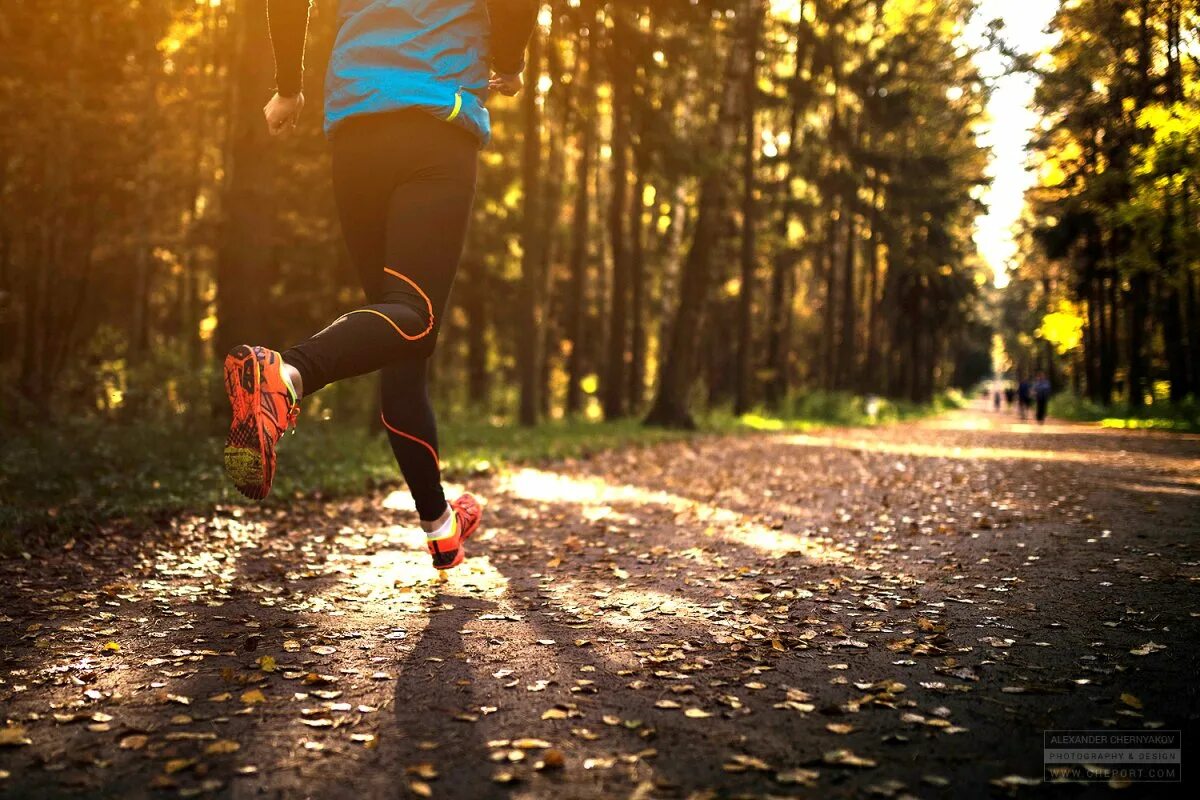 Бег в лесу. Девушка бежит в лесу. Осень спорт. Пробежка в лесу. Утренняя пробежка в парке.
