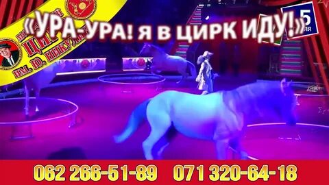 Цирк барнаул