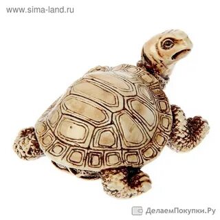 Компьютер черепаха