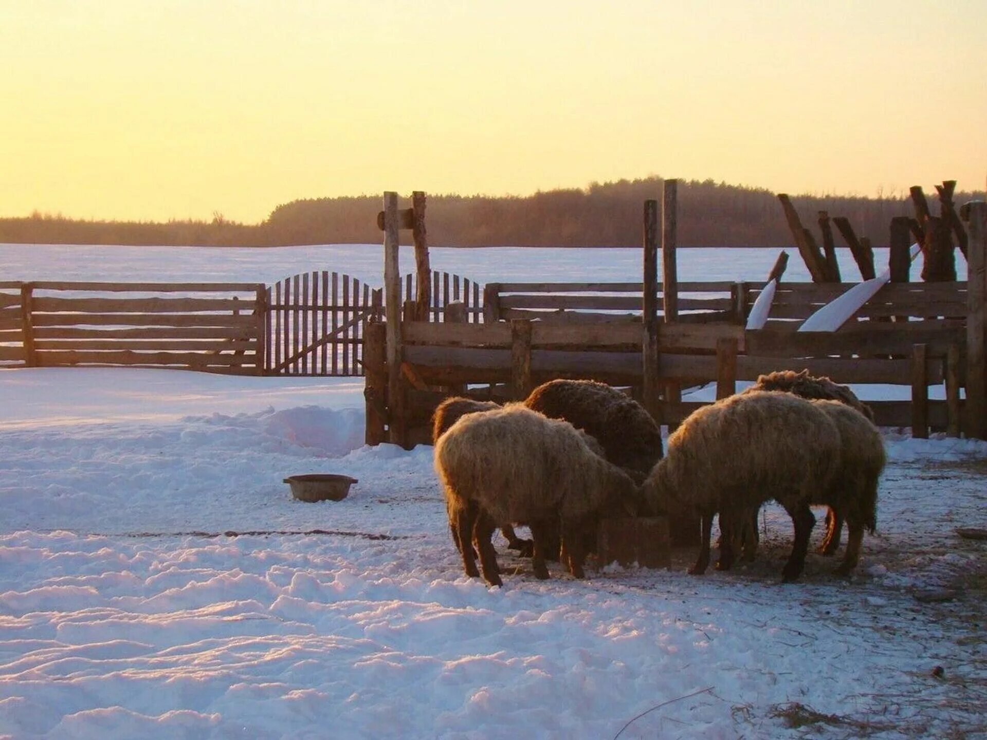 Деревни россии. Село наоборот. Современная деревня. Ветцы смоленская область гагаринский район. Лето в деревне.