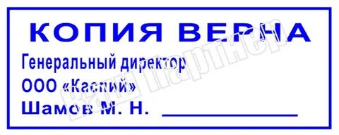 Директору копия