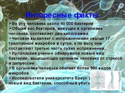 Интересное сообщение 5 класс