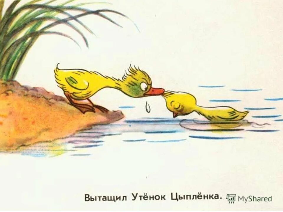 Про утенка и цыпленка