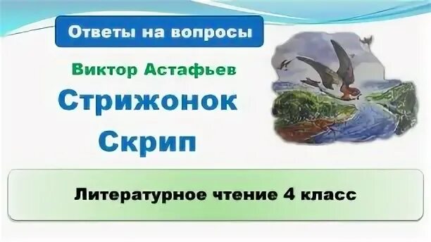 Стрижонок скрип ответить на вопросы 4 класс. Астафьев Стрижонок скрип план 4 класс. План к рассказу Стрижонок скрип 4 класс Астафьев. План стрижонка скрипа 4 класс литературное чтение.