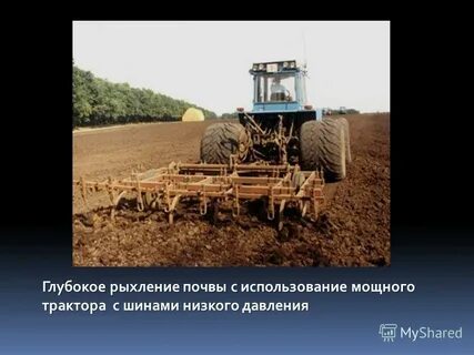 Опыт с рыхлением почвы