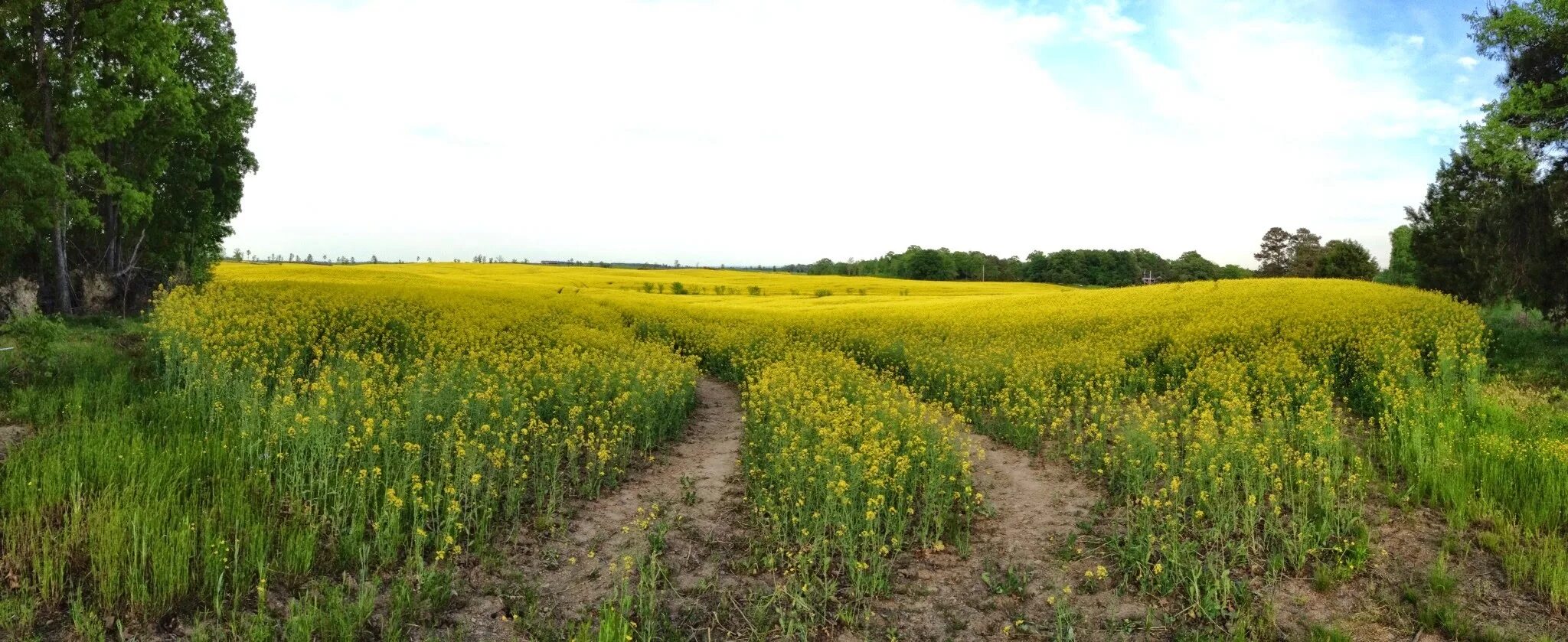 Село трава.