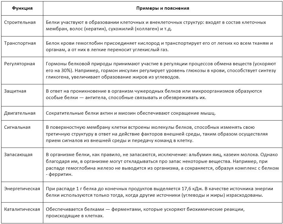 Картинки БЕЛКИ СТРОЕНИЕ СТРУКТУРЫ ФУНКЦИИ