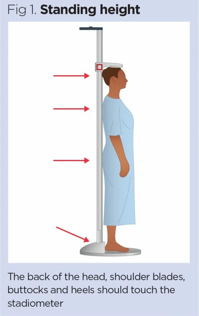 Height measure app. Measuring Human height. Height measuring Printable. Height Medicine.