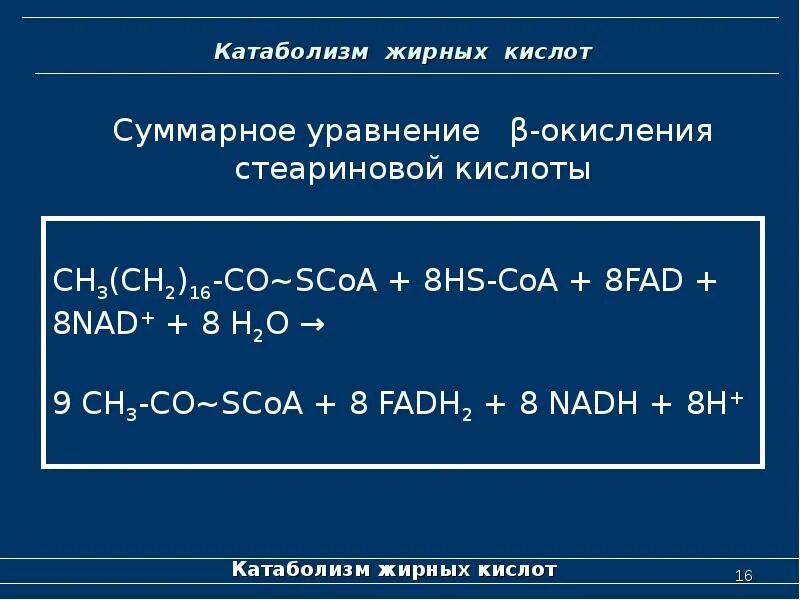 Окисление в биосинтезе. Суммарное уравнение окисления стеариновой кислоты. Суммарное уравнение биосинтеза стеариновой кислоты. Уравнение биосинтеза стеариновой кислоты. Уравнение синтеза стеариновой кислоты.