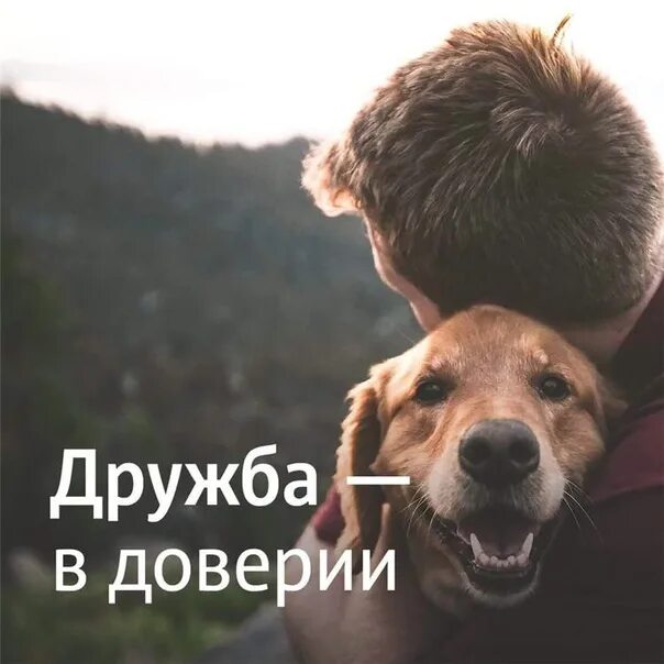 Как войти в доверие к человеку. Доверие в дружбе. цитата дружба это доверие. цитаты со смыслом про дружбу и доверие. фразы о доверии и дружбе.