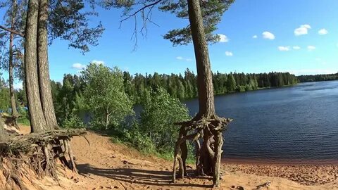 Вырица пляж