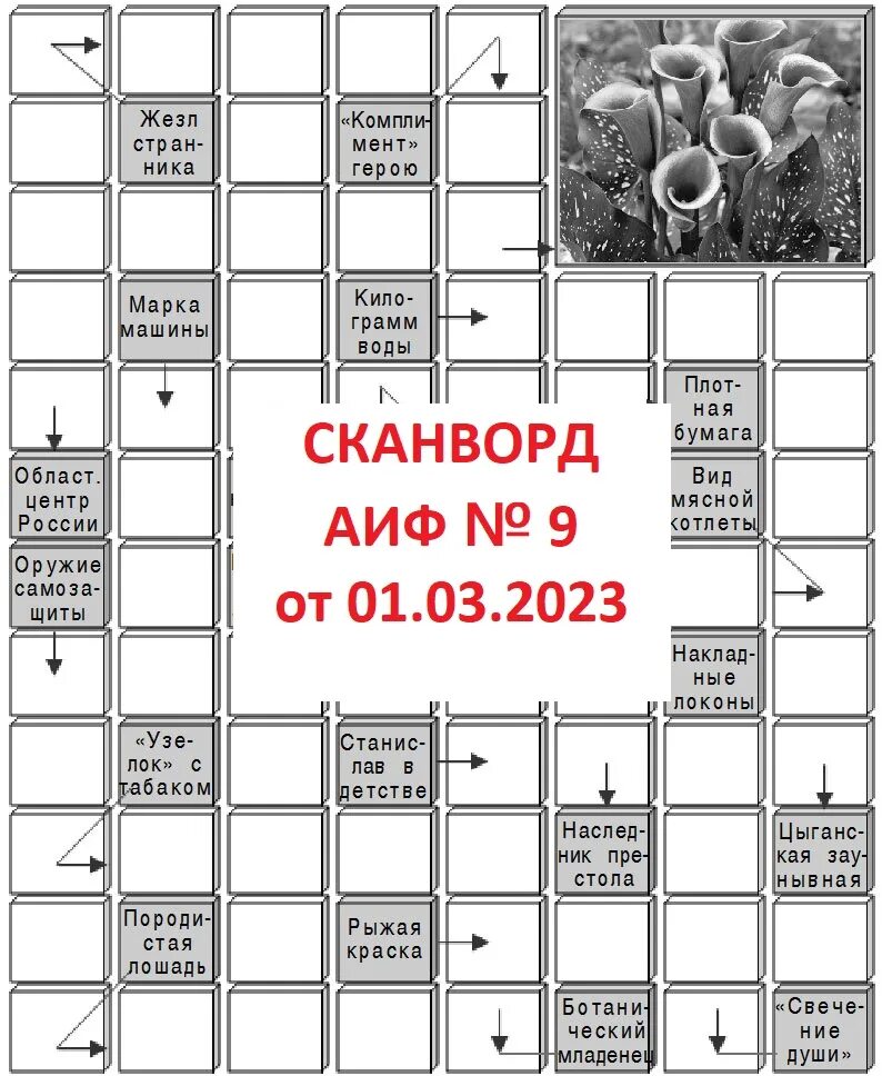 Сканворды с ответами. Сканворд АИФ. Кроссворды с ответами. Ответы на кроссворд АИФ.