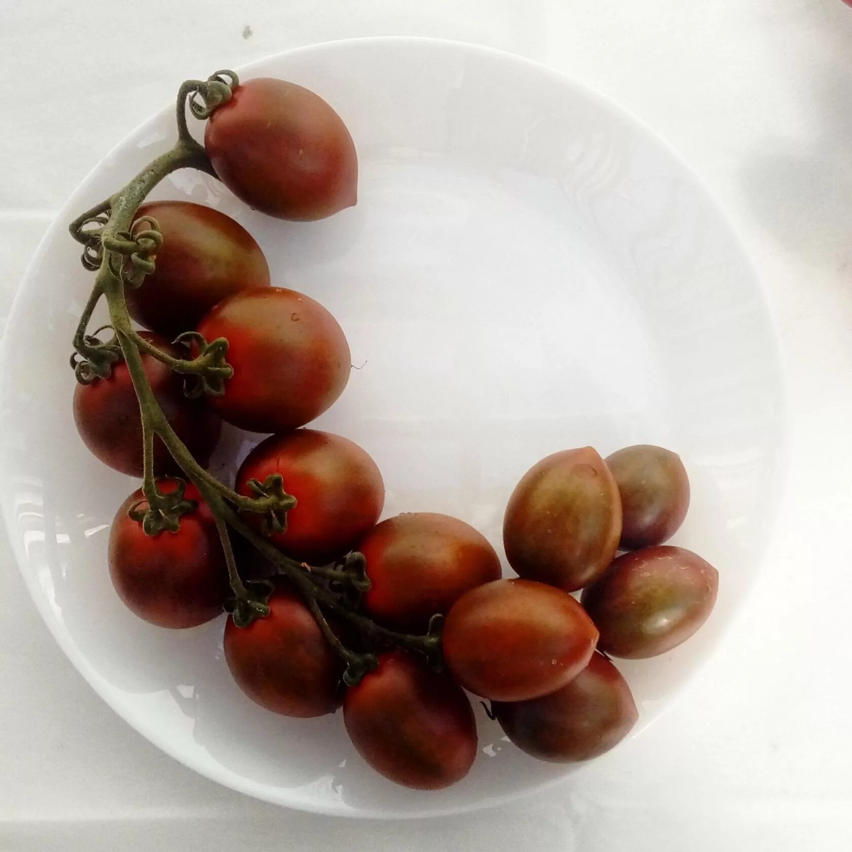 Помидоры гранат. Помидоры гранат. Гранатовая капля томат описание. Гранатовая гроздь томат. Томат гранатовый.