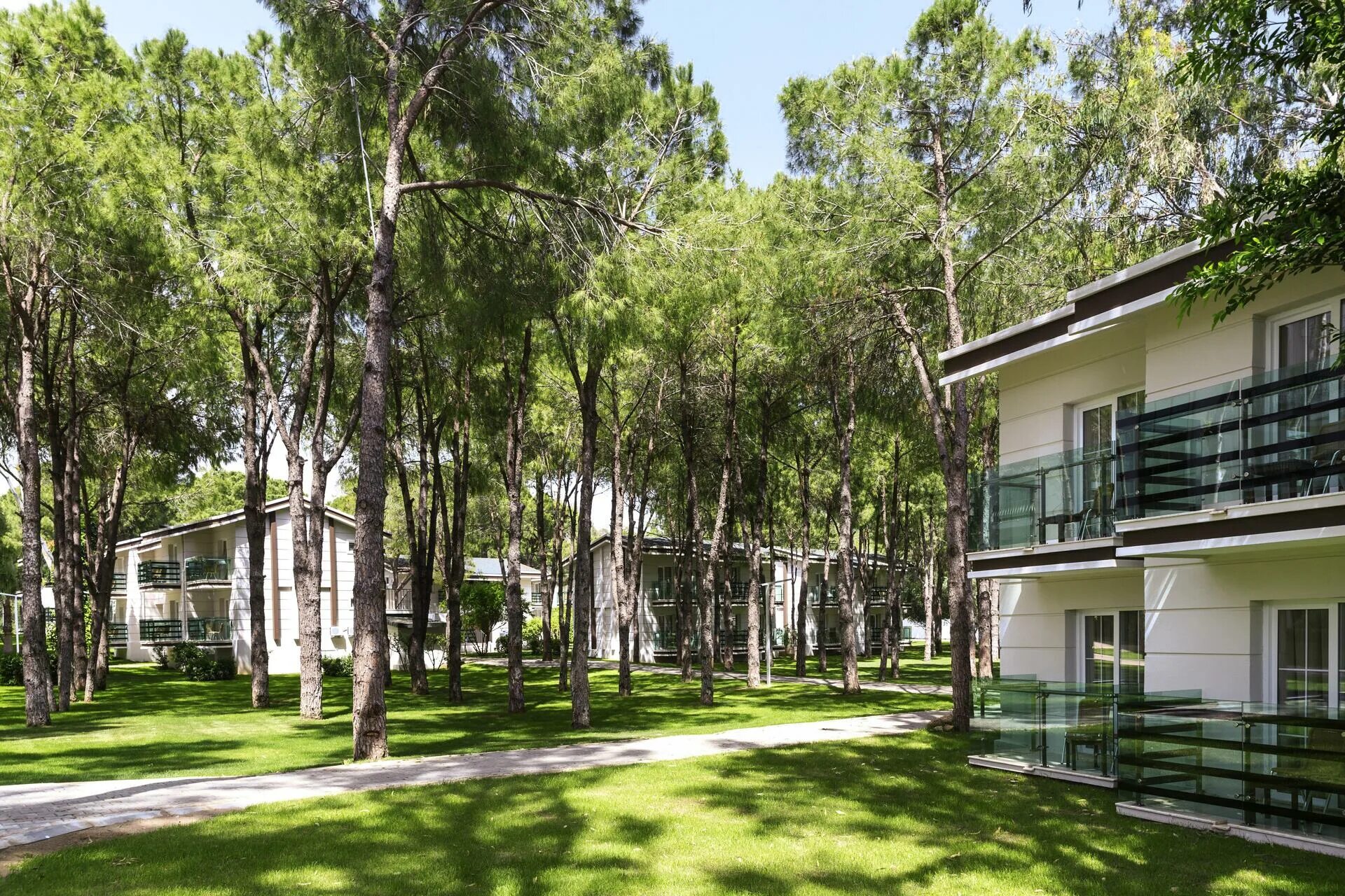 Tui magic life masmavi 5 белек. Magic life masmavi 5*. туи масмави белек. tui magic life masmavi. туи мэджик лайф масмави.